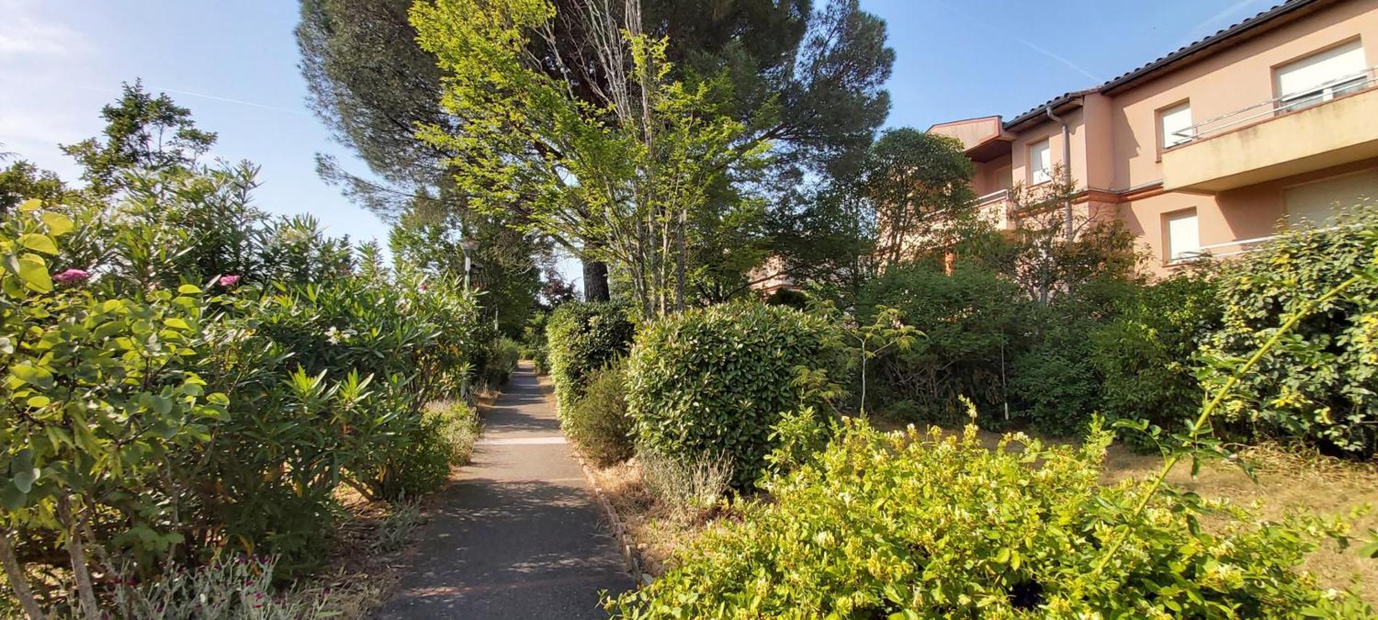 Les Elfes - Avec Entree Autonome, Clim Neuve, Jardin, Parking Prive & Gourmandises Offertes ! - Apartment Toulouse Ngoại thất bức ảnh