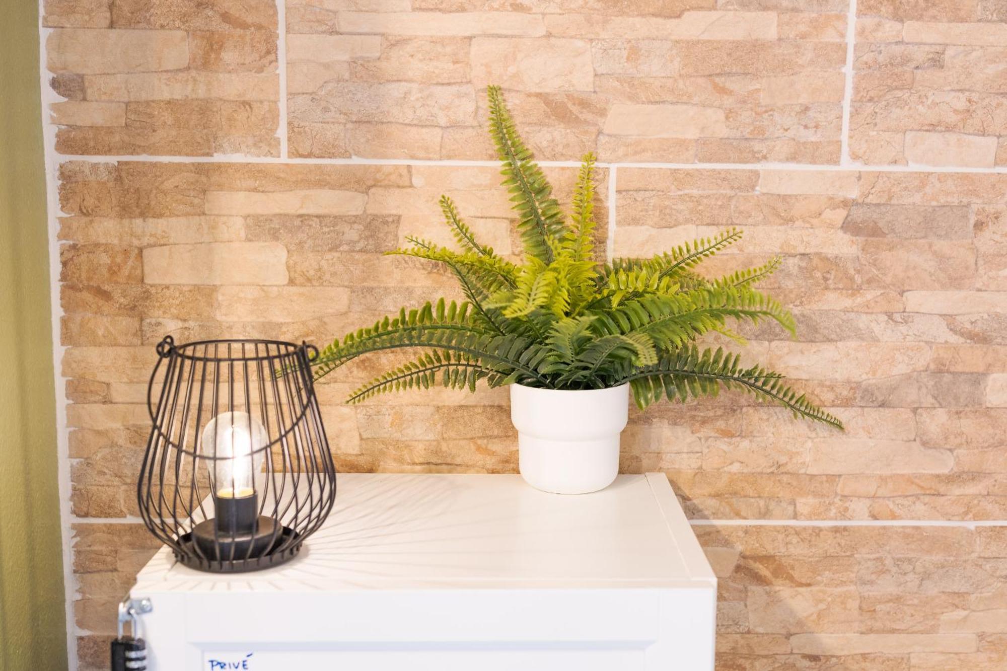 Les Elfes - Avec Entree Autonome, Clim Neuve, Jardin, Parking Prive & Gourmandises Offertes ! - Apartment Toulouse Ngoại thất bức ảnh