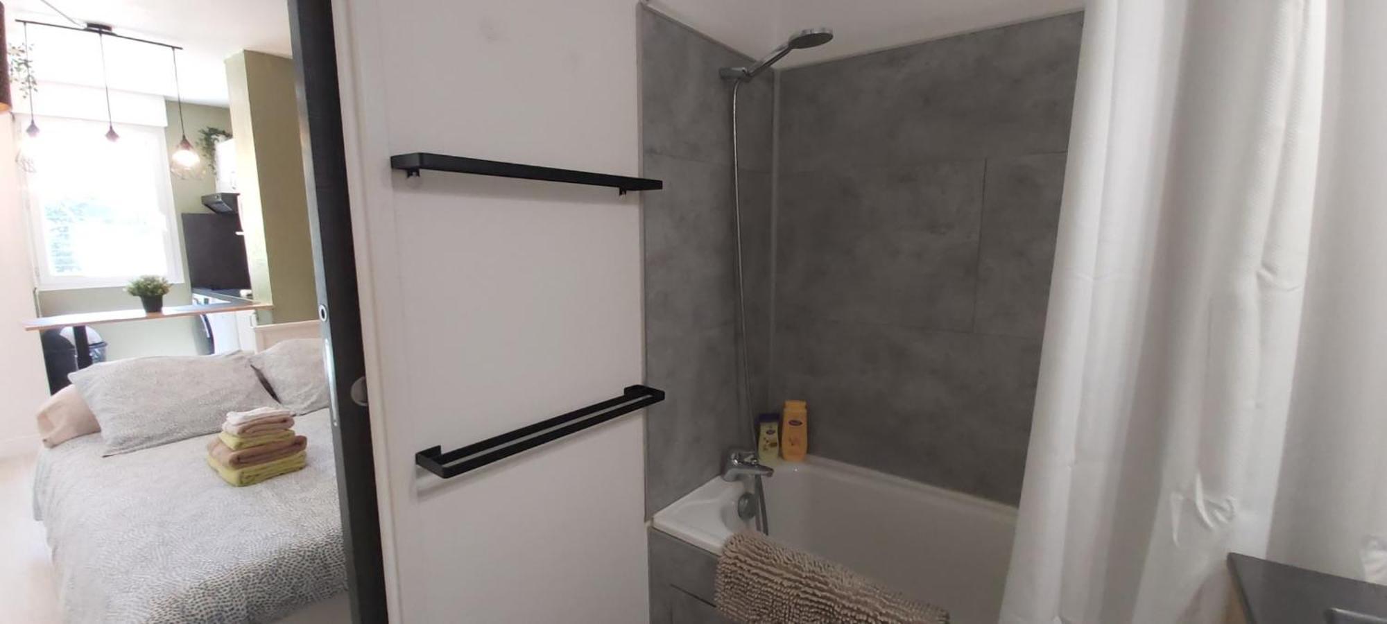 Les Elfes - Avec Entree Autonome, Clim Neuve, Jardin, Parking Prive & Gourmandises Offertes ! - Apartment Toulouse Ngoại thất bức ảnh